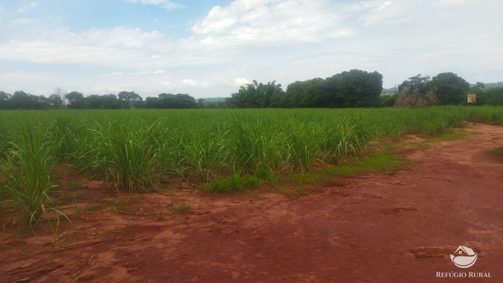 Fazenda à venda com 2 quartos, 293900m² - Foto 14