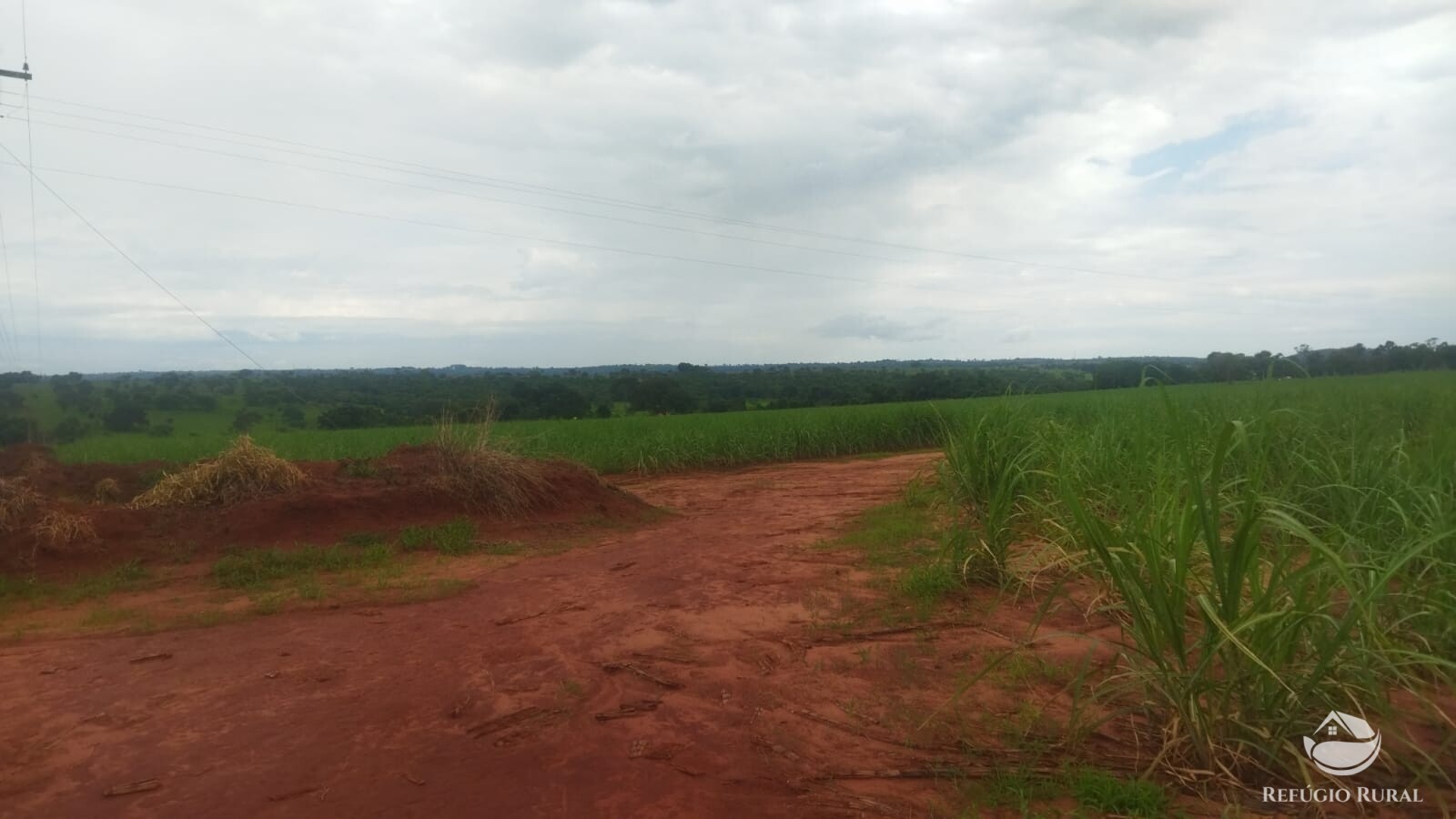 Fazenda à venda com 2 quartos, 293900m² - Foto 37