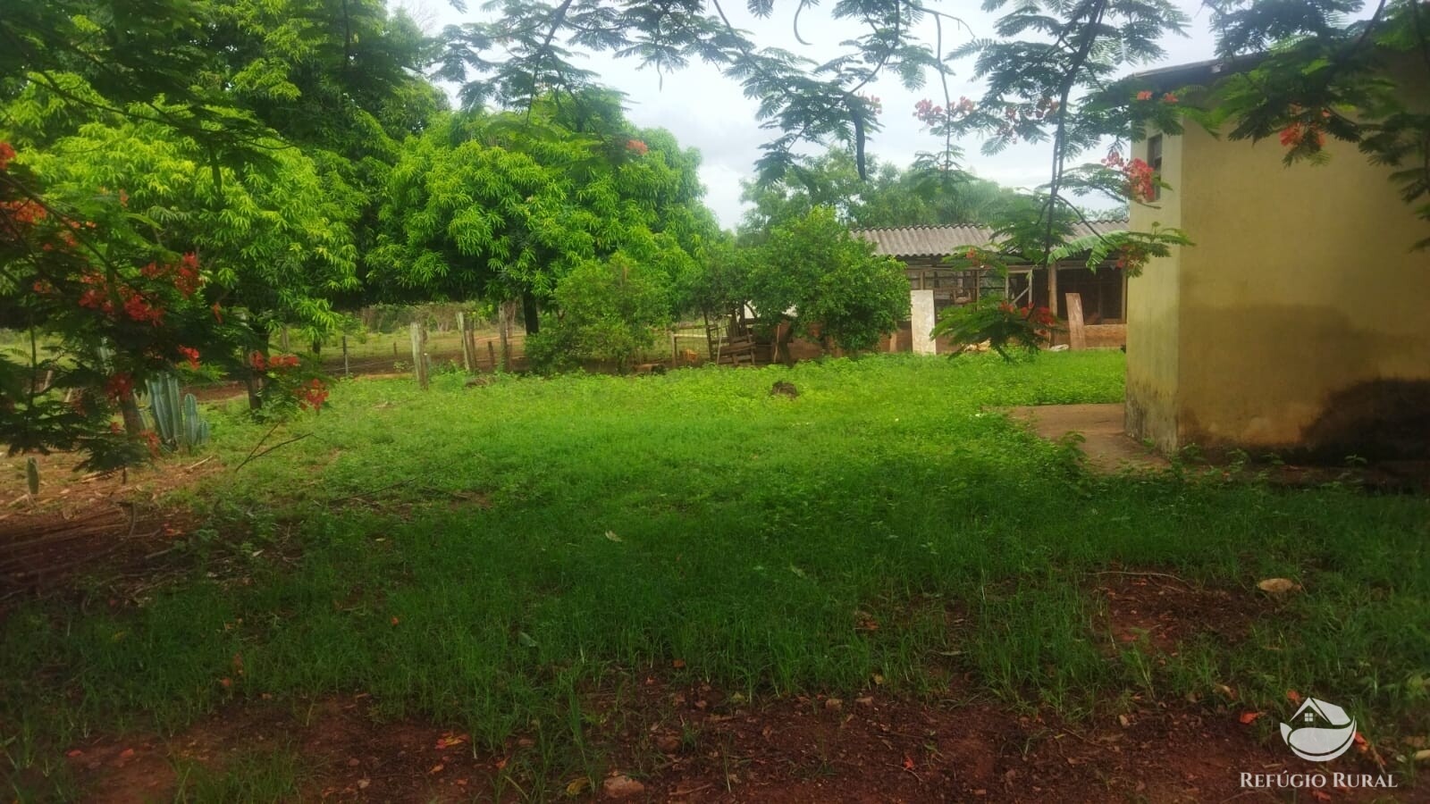 Fazenda à venda com 2 quartos, 293900m² - Foto 2