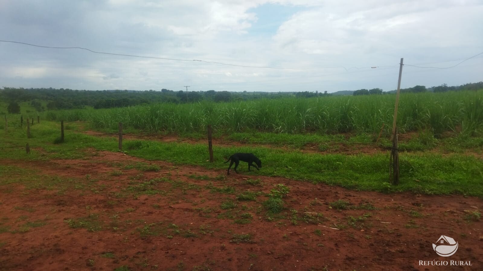 Fazenda à venda com 2 quartos, 293900m² - Foto 31