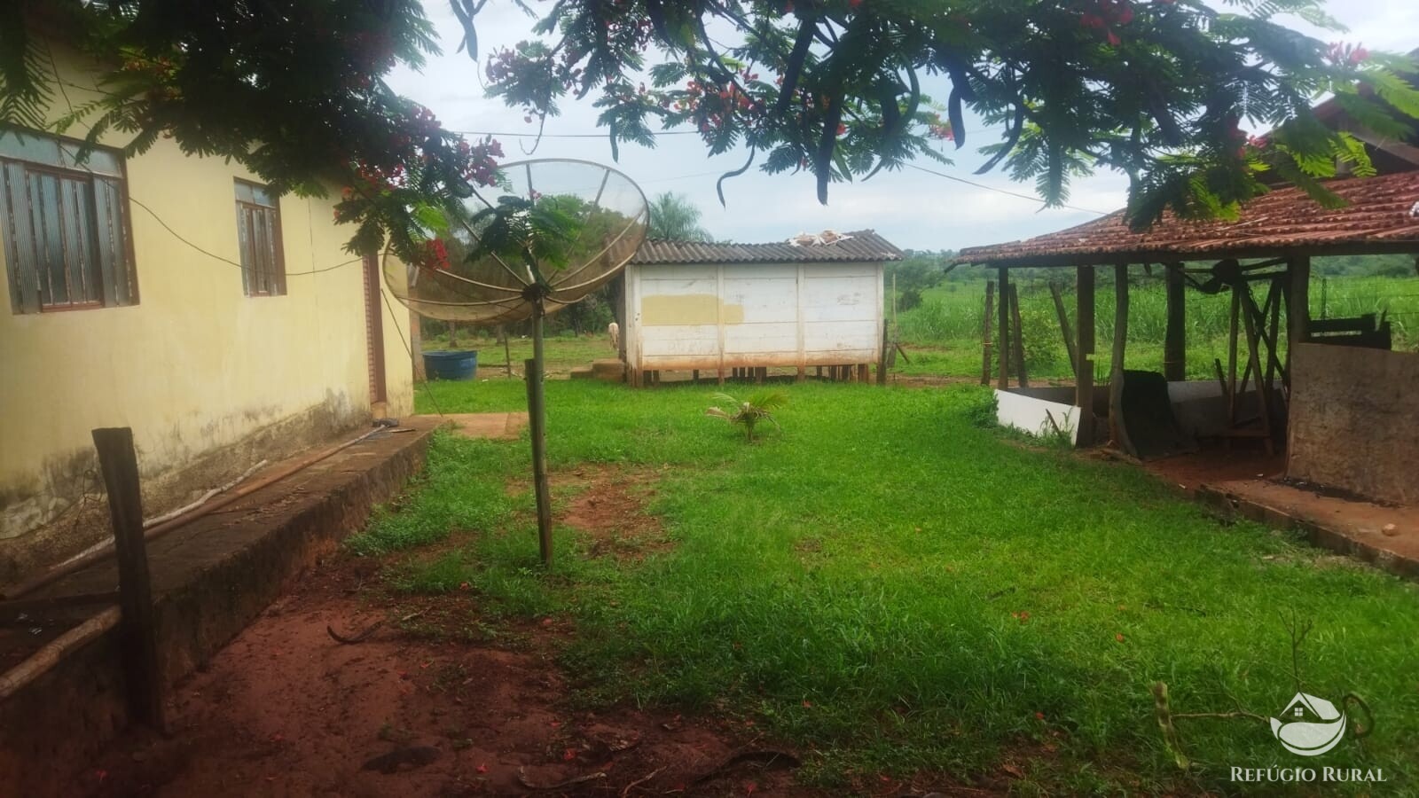 Fazenda à venda com 2 quartos, 293900m² - Foto 13