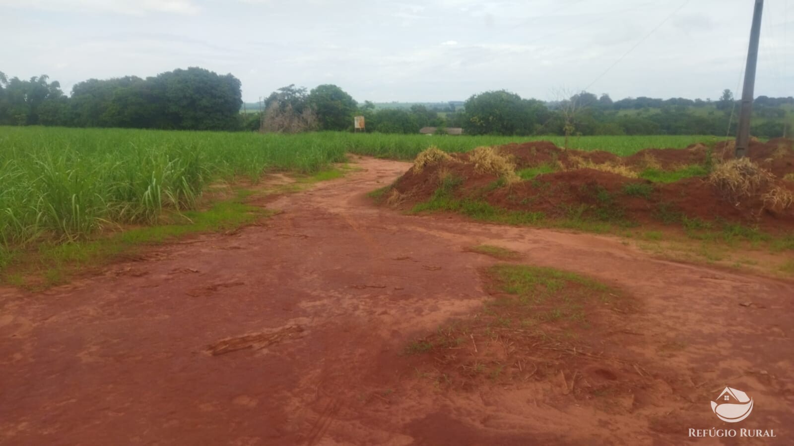 Fazenda à venda com 2 quartos, 293900m² - Foto 20