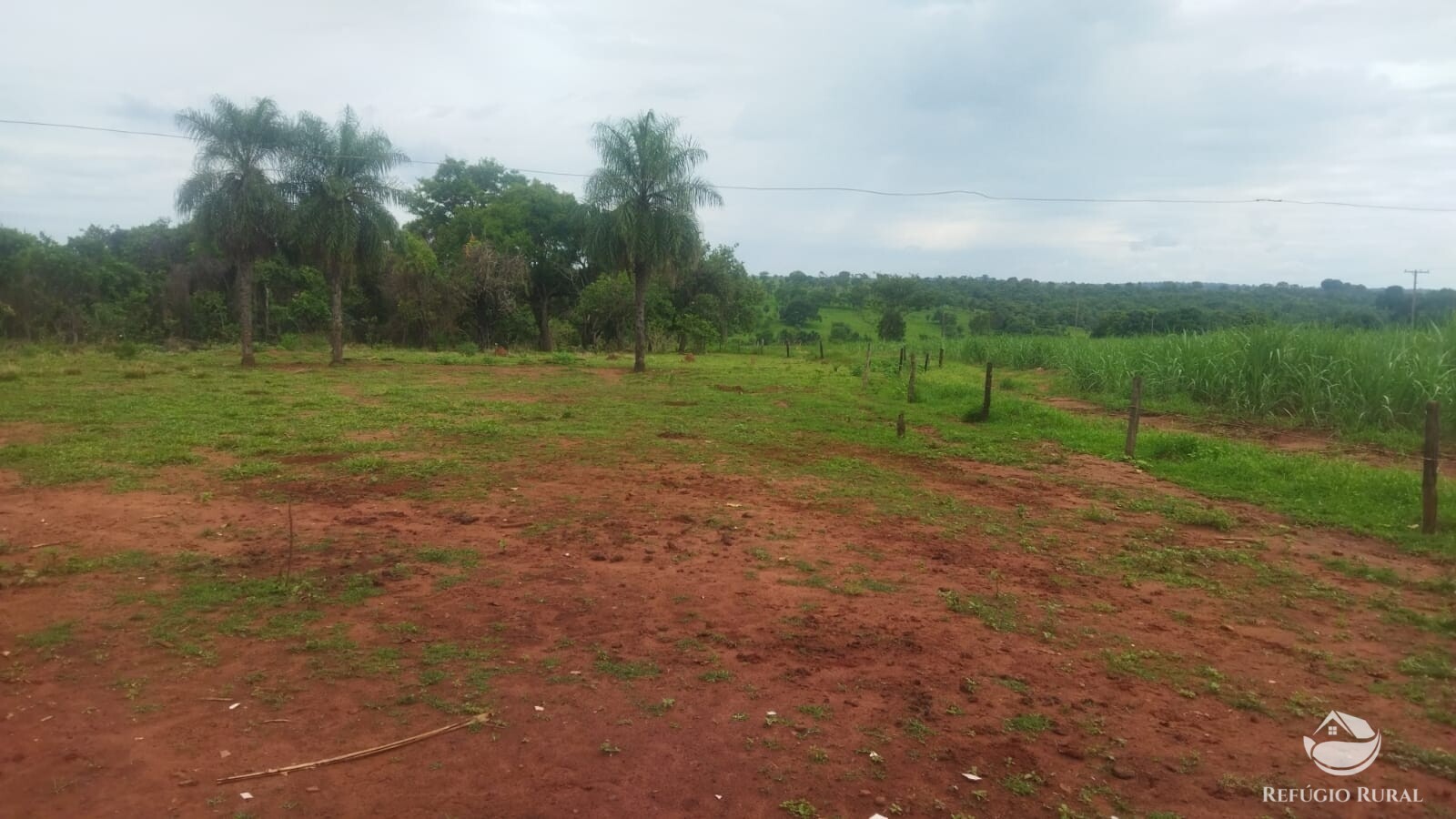 Fazenda à venda com 2 quartos, 293900m² - Foto 12