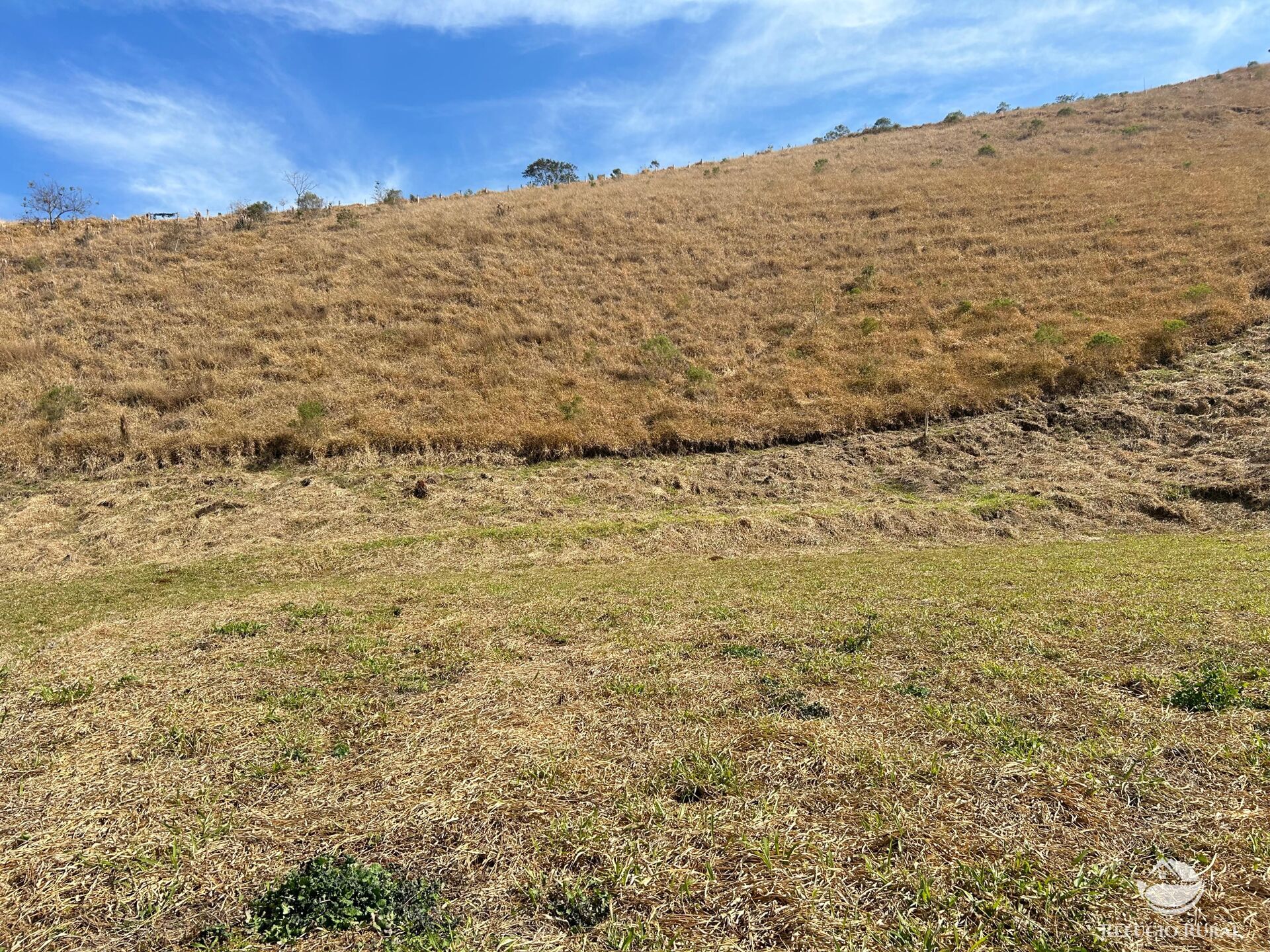 Terreno à venda, 30000m² - Foto 5