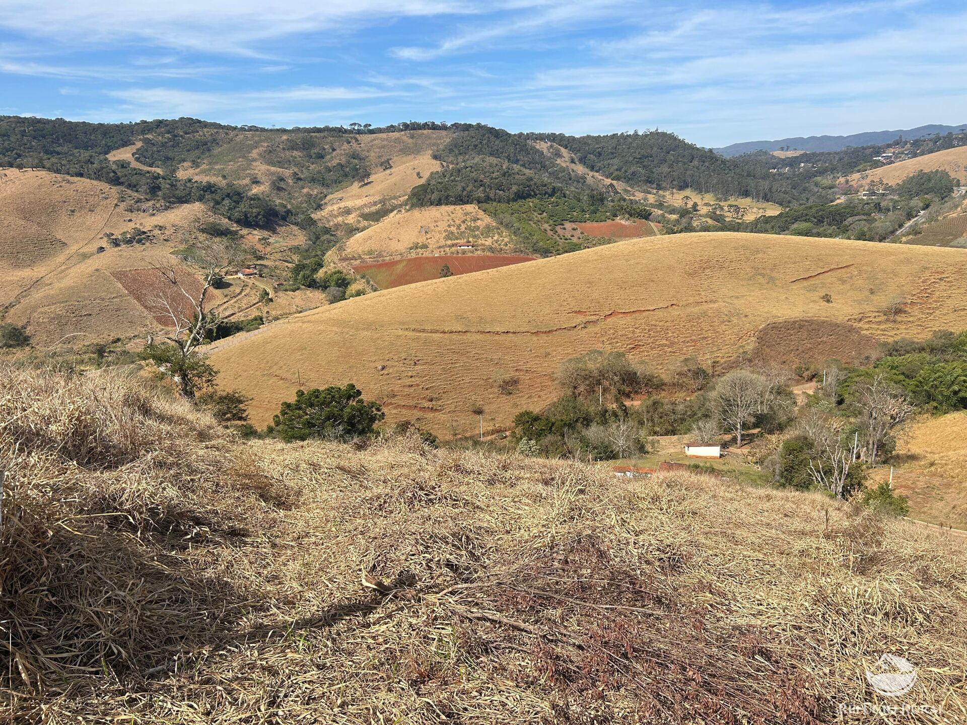 Terreno à venda, 30000m² - Foto 14