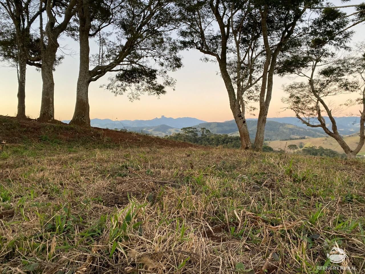 Terreno à venda, 30000m² - Foto 25