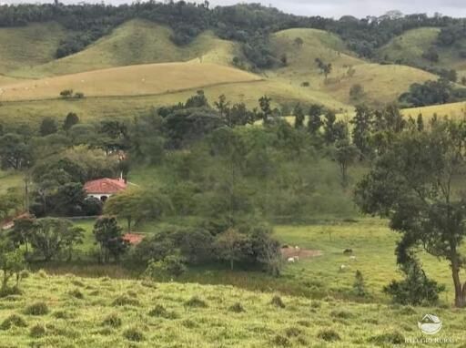 Fazenda à venda com 6 quartos, 25410000m² - Foto 3