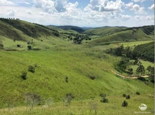 Fazenda à venda com 6 quartos, 25410000m² - Foto 4