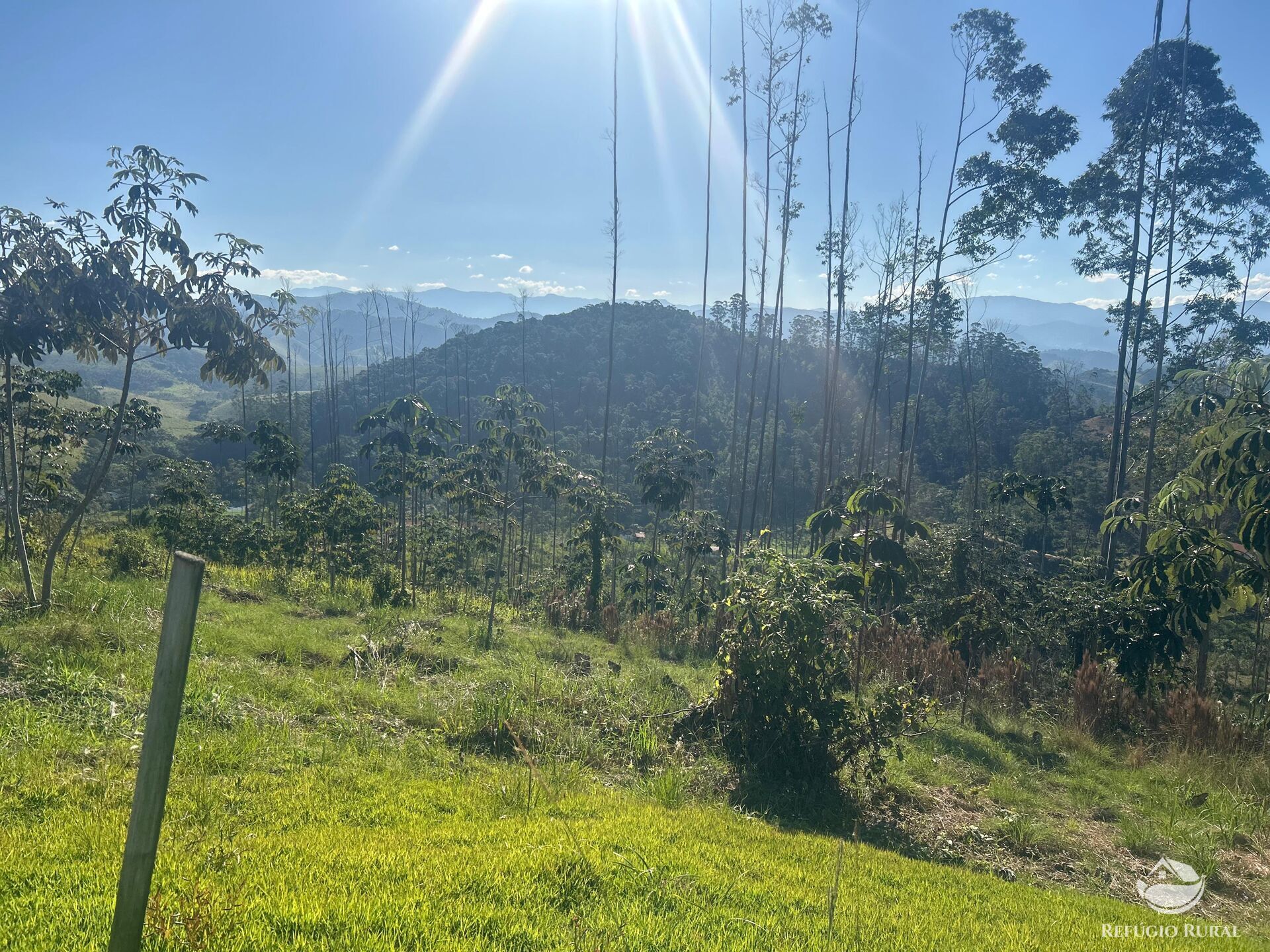 Sítio, 2 quartos, 3 hectares - Foto 36