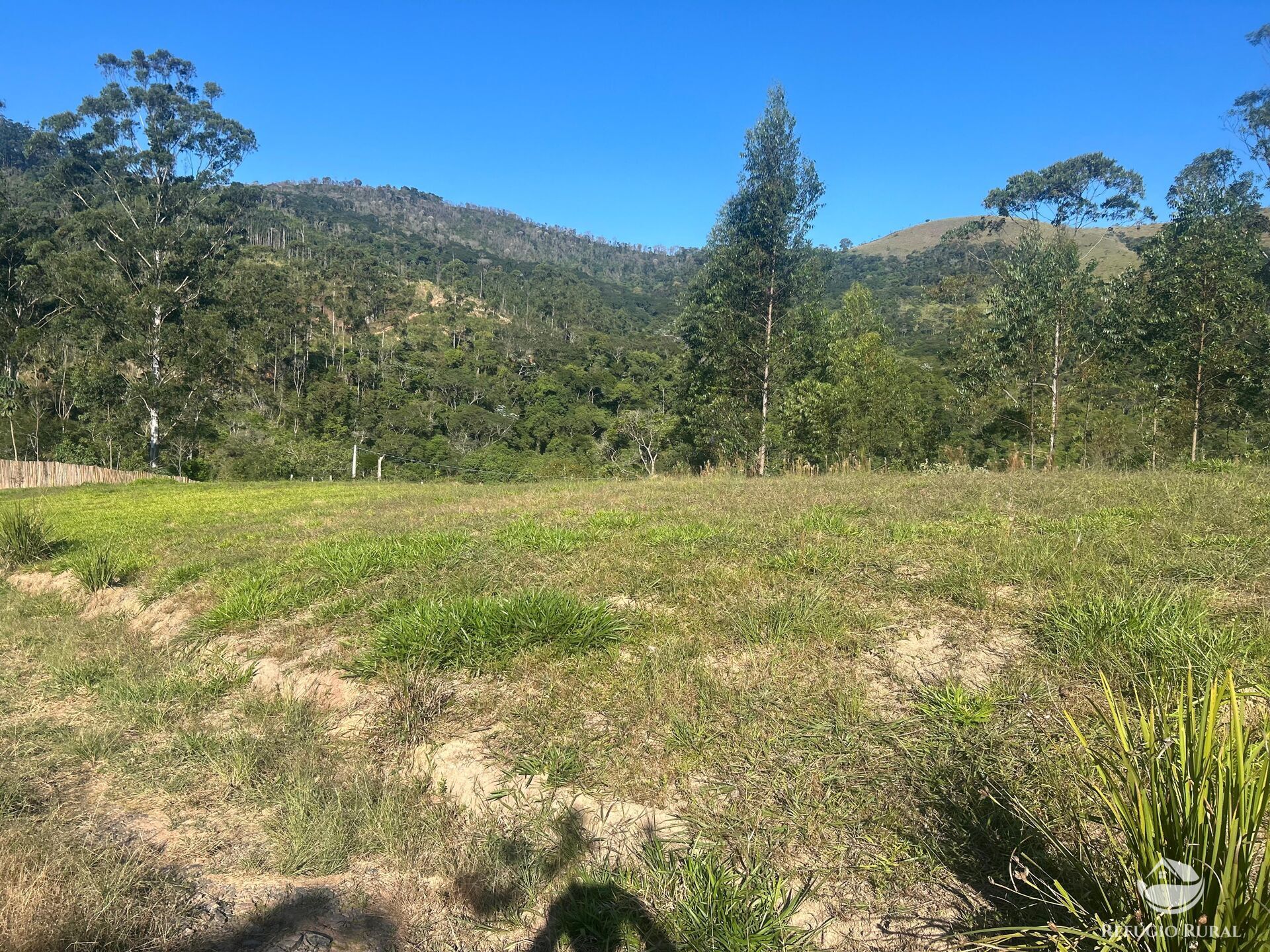 Sítio, 2 quartos, 3 hectares - Foto 24