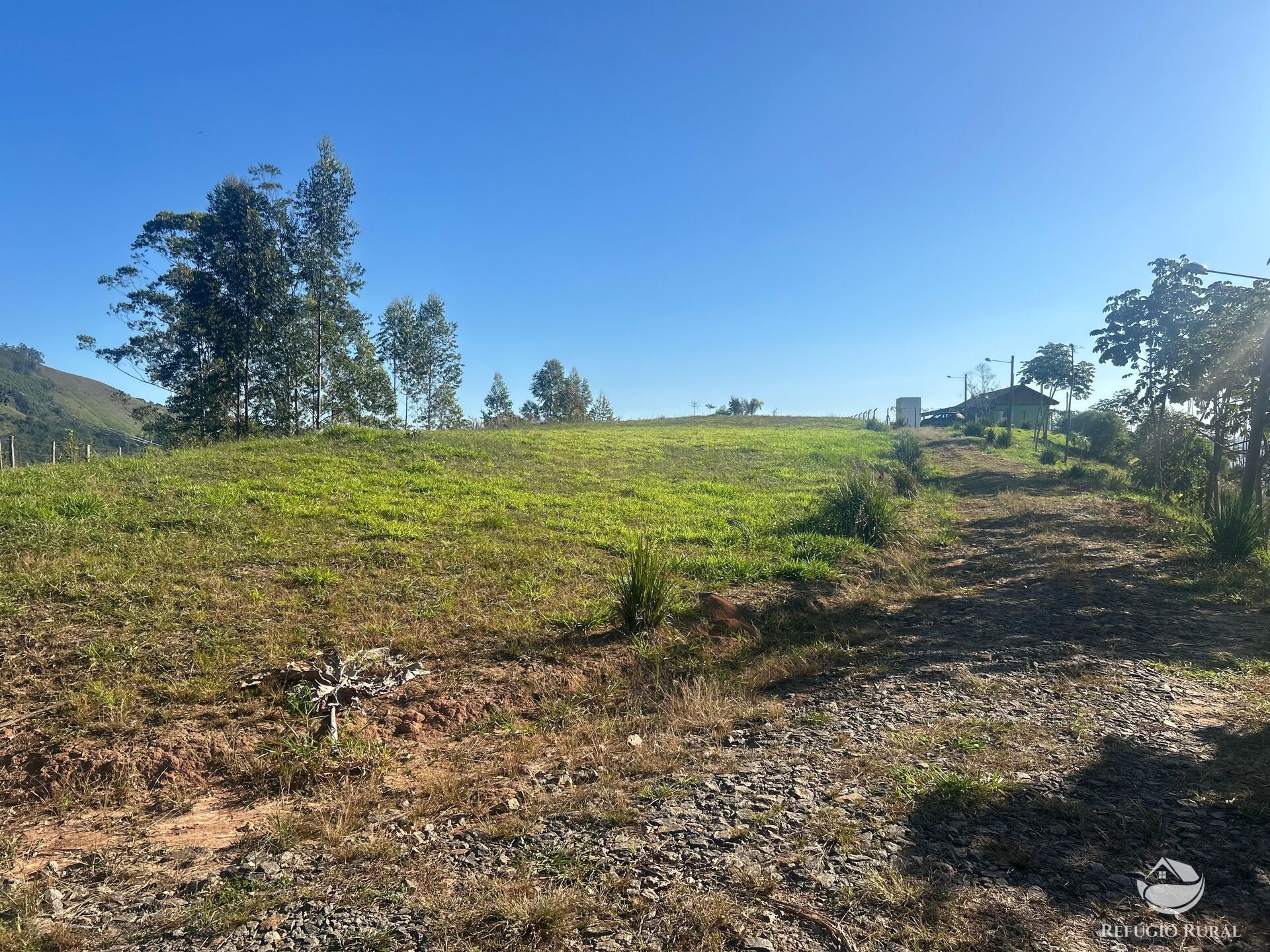 Sítio, 2 quartos, 3 hectares - Foto 22