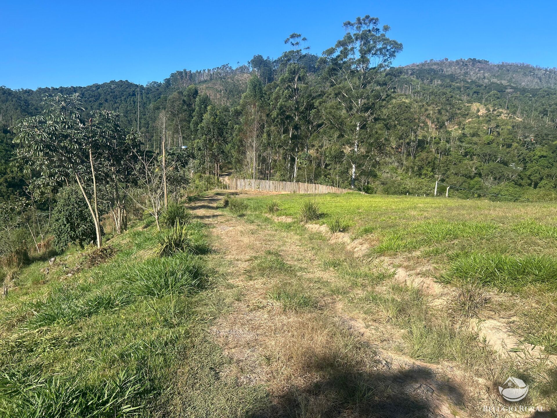 Sítio, 2 quartos, 3 hectares - Foto 25