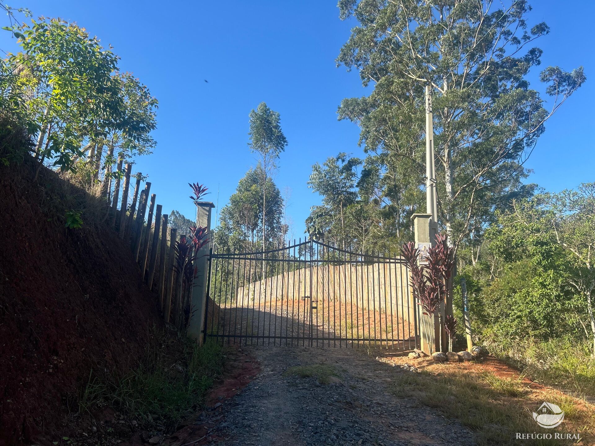 Sítio, 2 quartos, 3 hectares - Foto 21