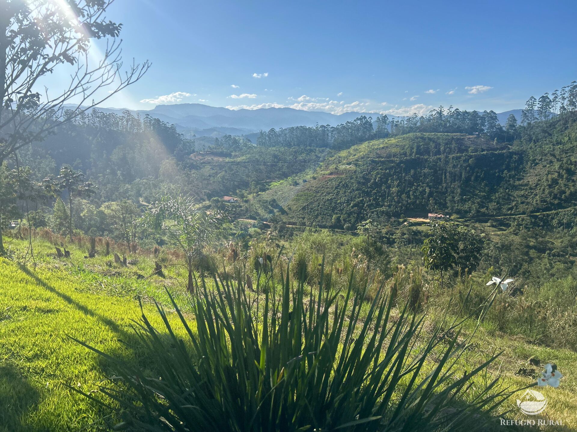 Sítio, 2 quartos, 3 hectares - Foto 27