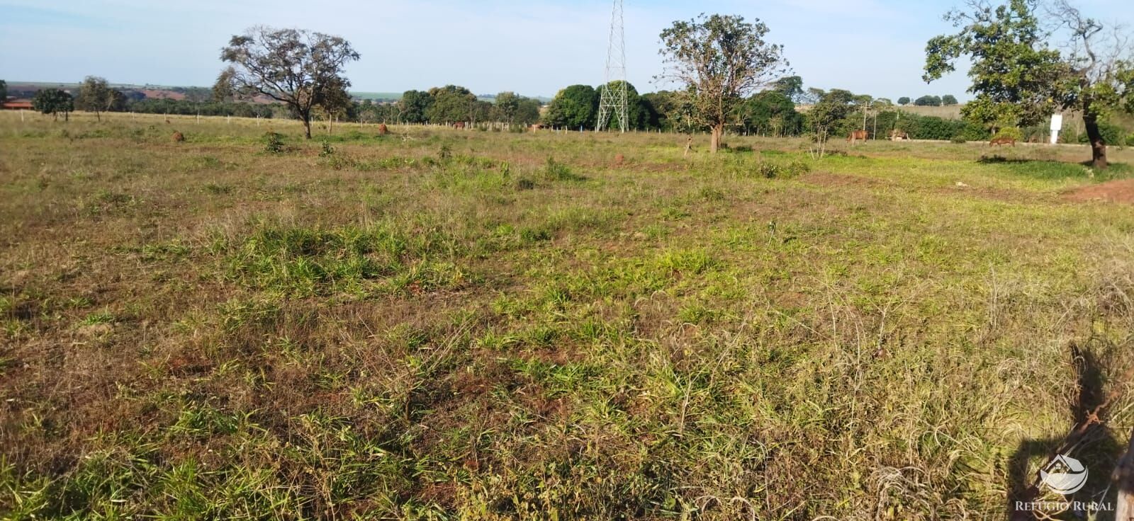 Chácara, 1 hectares - Foto 8