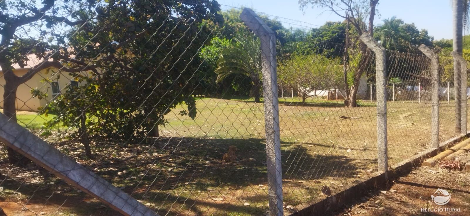 Chácara, 1 hectares - Foto 22