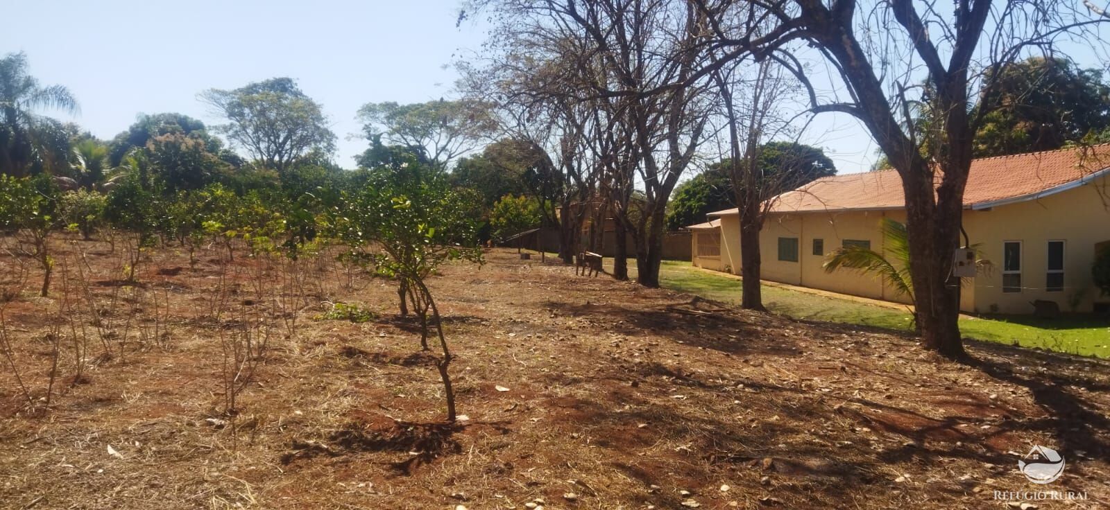 Chácara, 5 quartos, 1 hectares - Foto 2