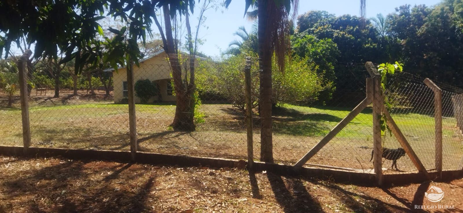 Chácara, 1 hectares - Foto 11