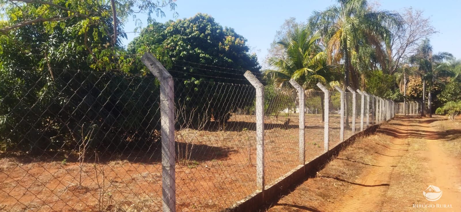 Chácara, 1 hectares - Foto 21