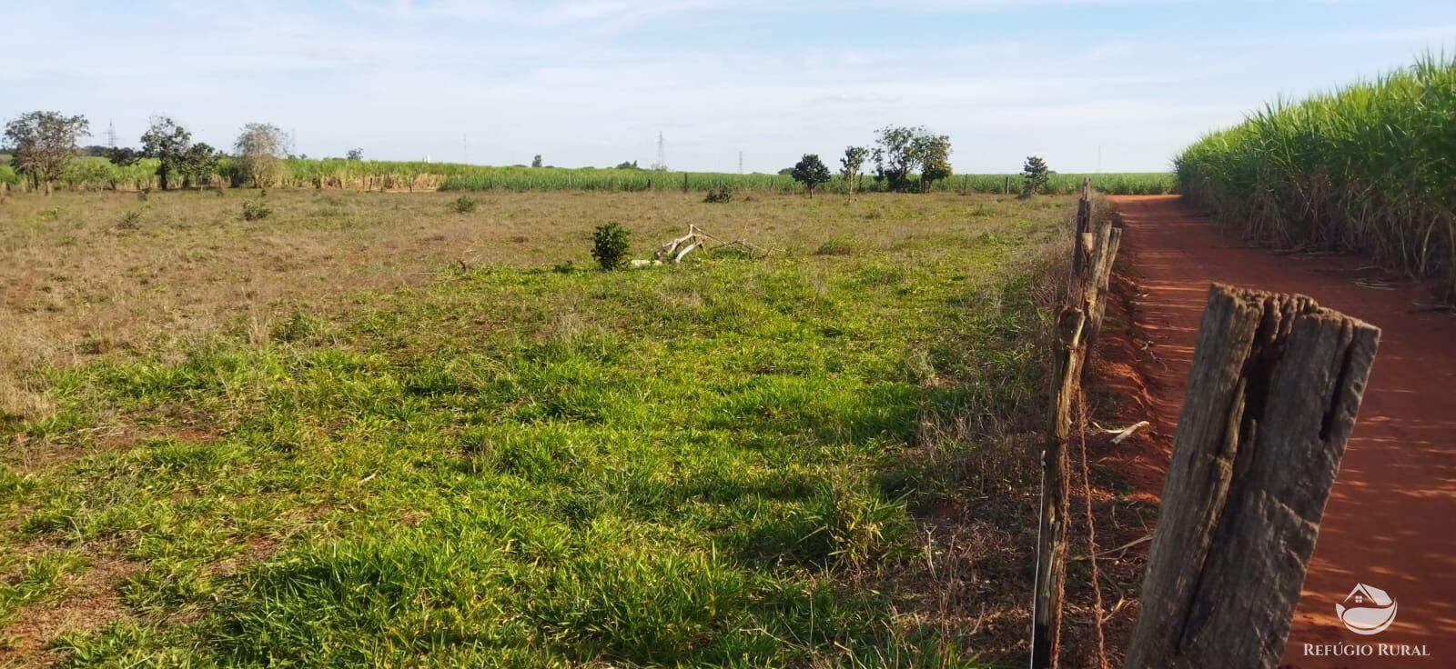 Chácara, 1 hectares - Foto 10