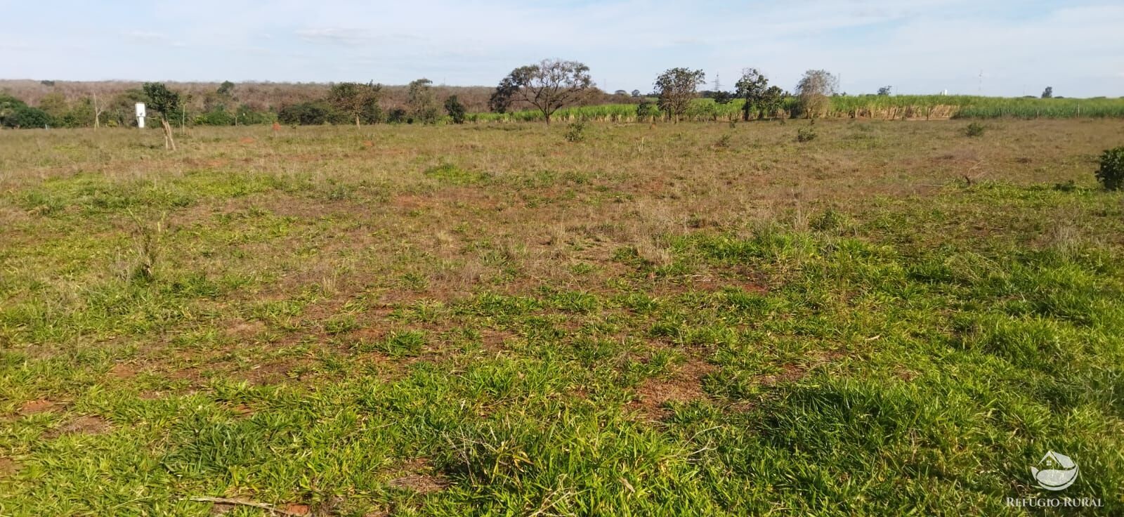 Chácara, 5 quartos, 1 hectares - Foto 4