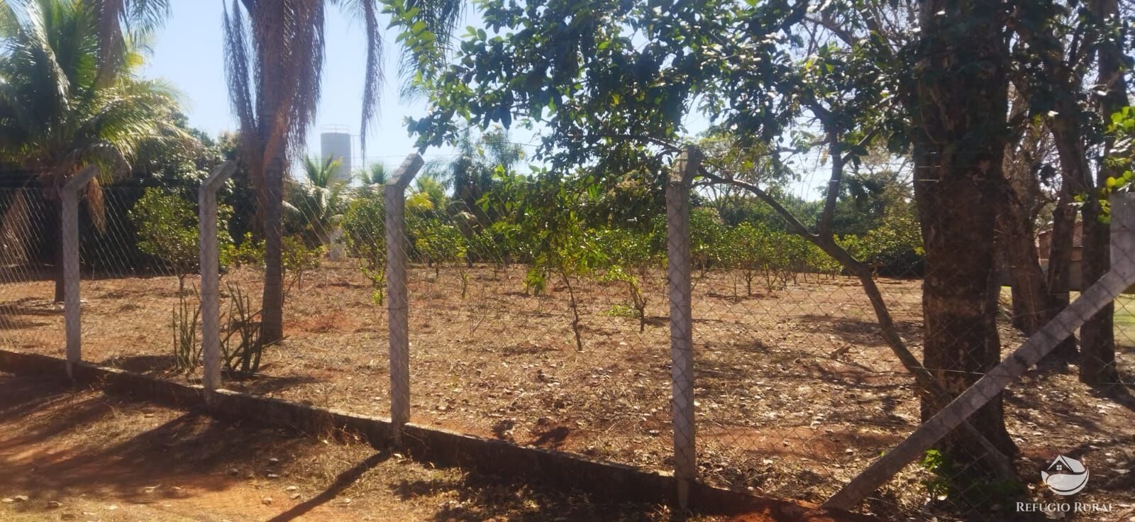 Chácara, 1 hectares - Foto 15