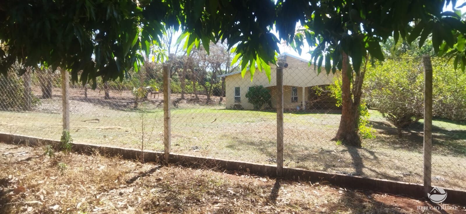 Chácara, 1 hectares - Foto 18