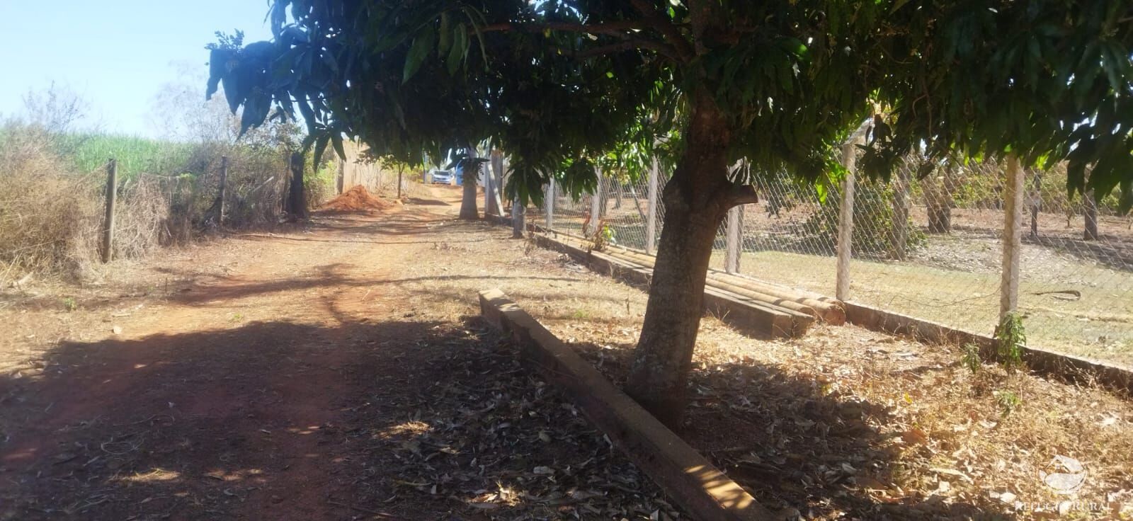 Chácara, 1 hectares - Foto 19