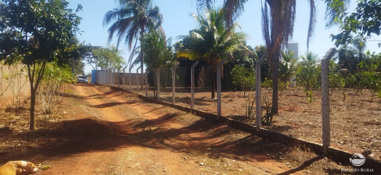 Chácara, 1 hectares - Foto 17