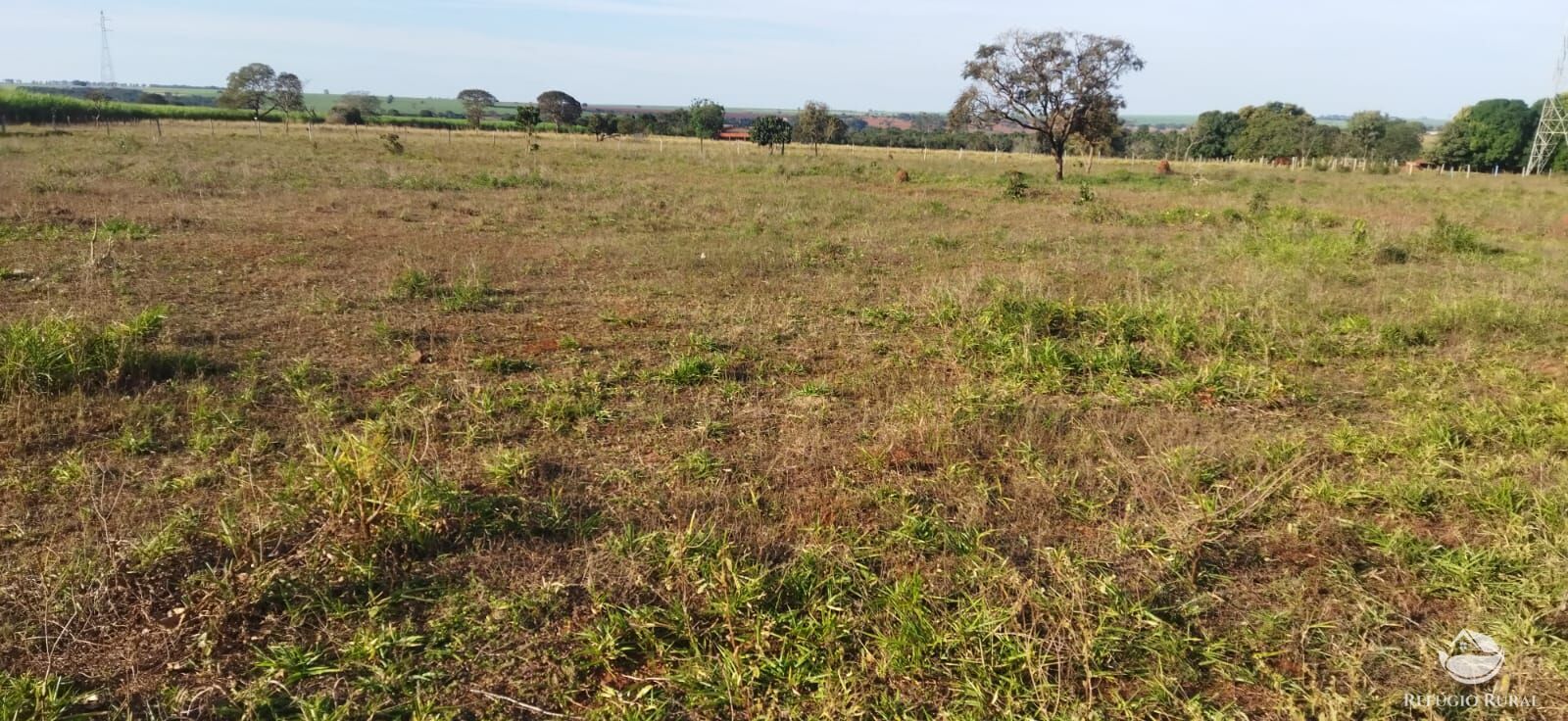 Chácara, 1 hectares - Foto 7