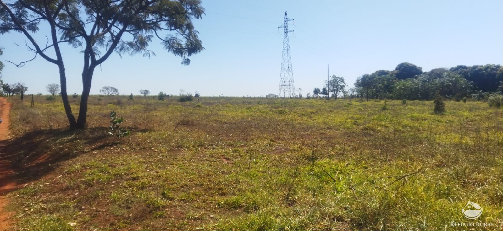 Chácara, 1 hectares - Foto 26