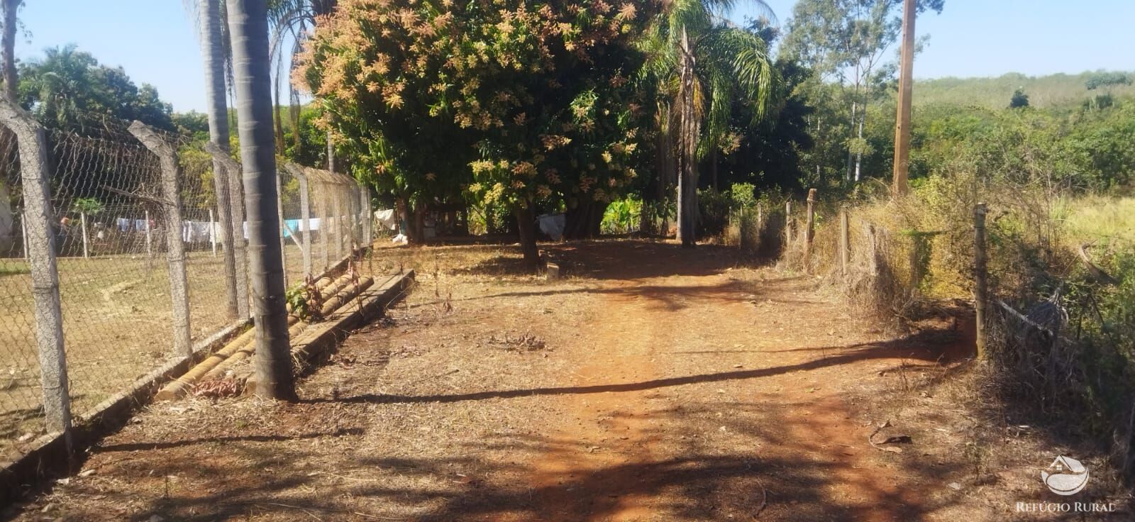 Chácara, 1 hectares - Foto 23