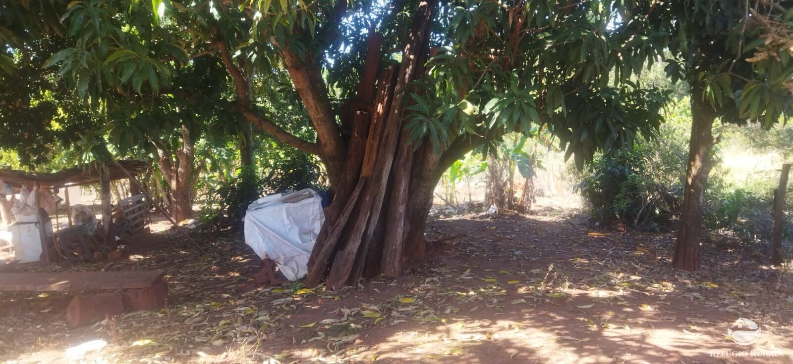 Chácara, 1 hectares - Foto 16