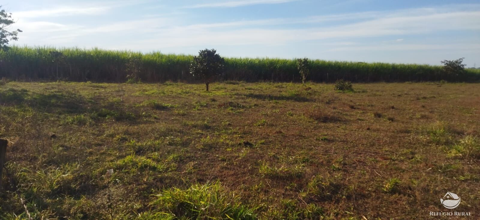 Chácara, 5 quartos, 1 hectares - Foto 5