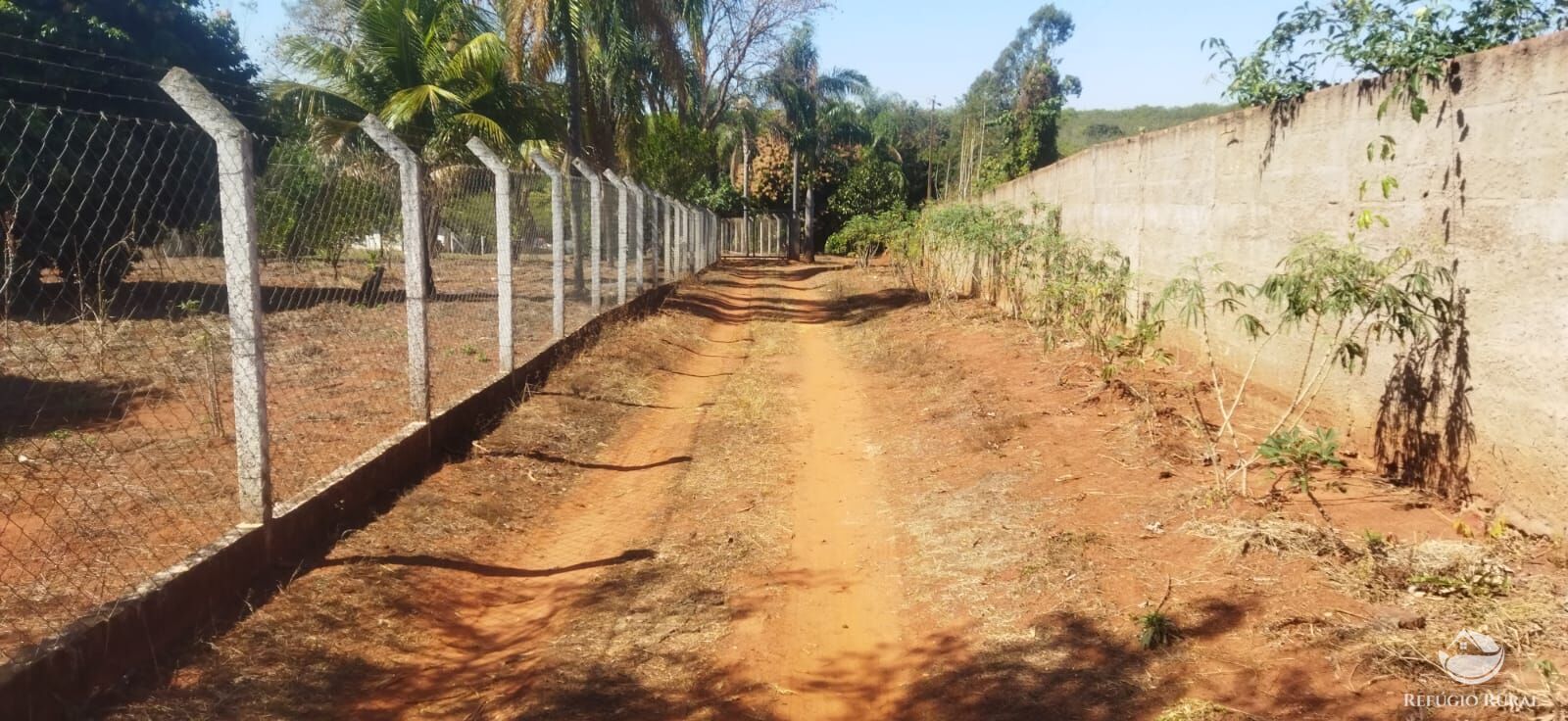 Chácara, 1 hectares - Foto 20