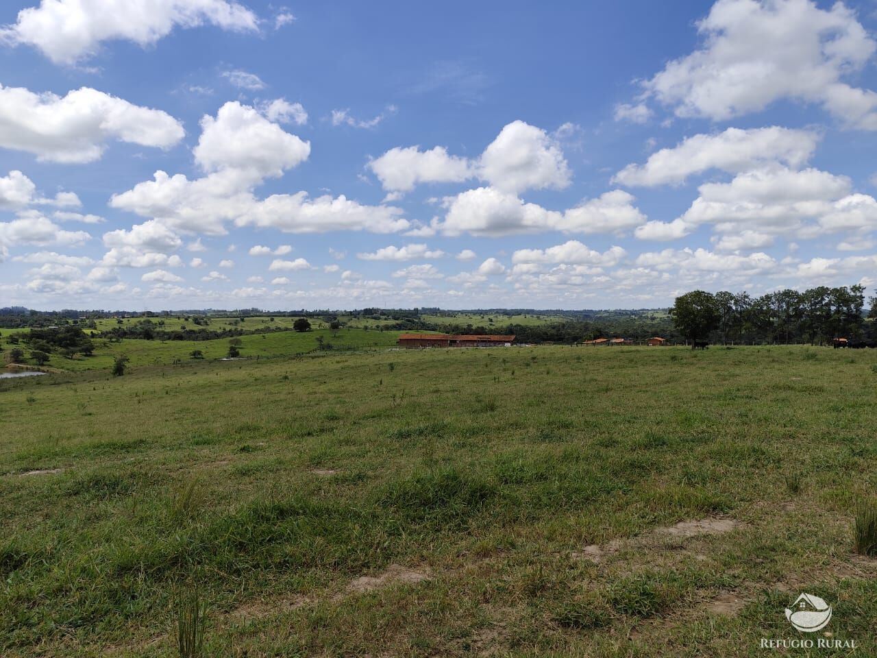 Fazenda, 435 hectares - Foto 21