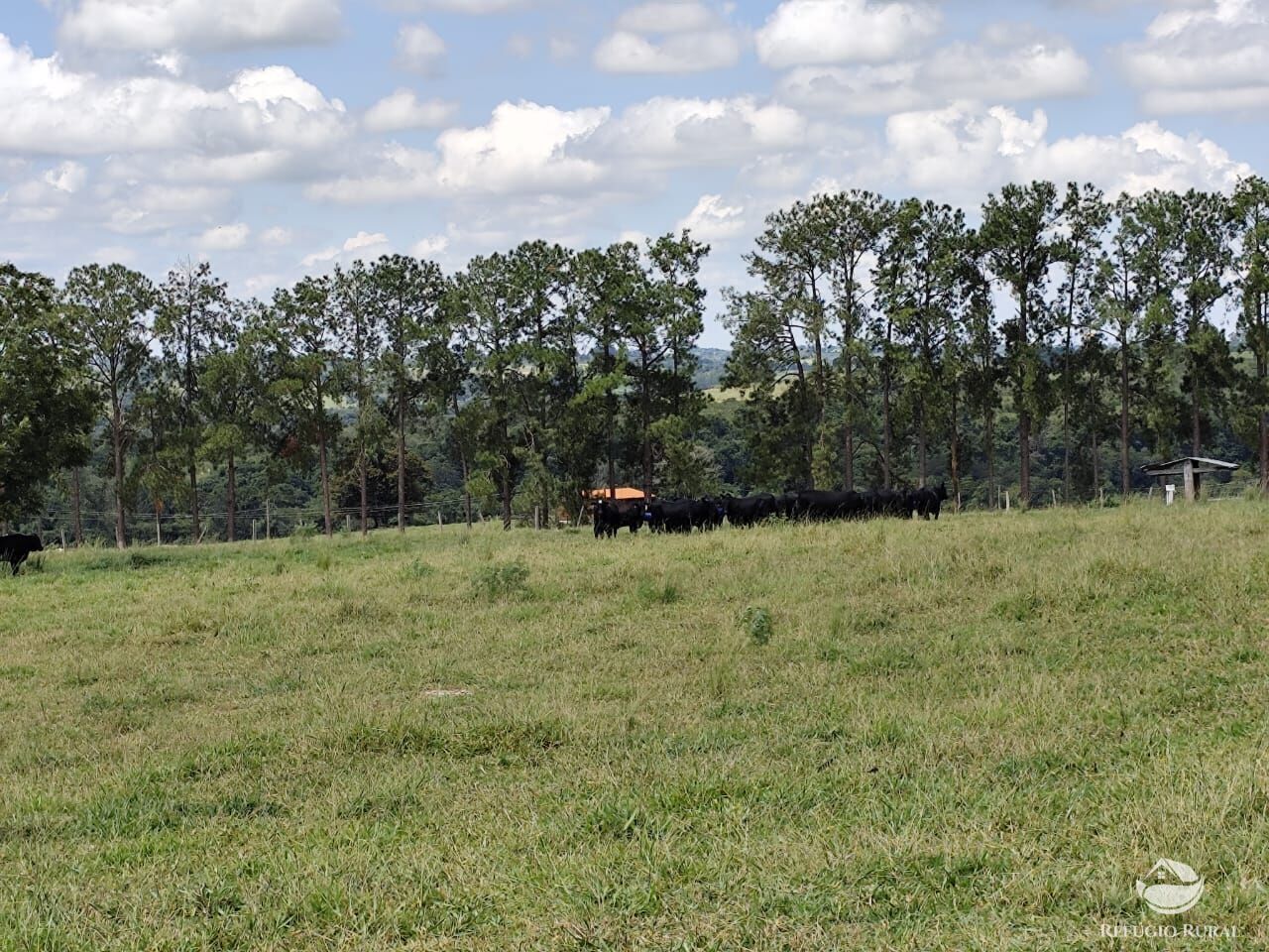 Fazenda, 435 hectares - Foto 33