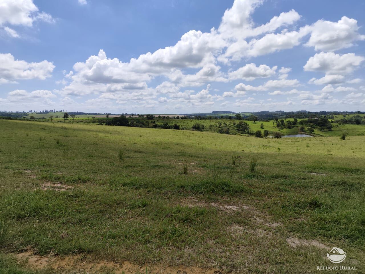 Fazenda, 435 hectares - Foto 10