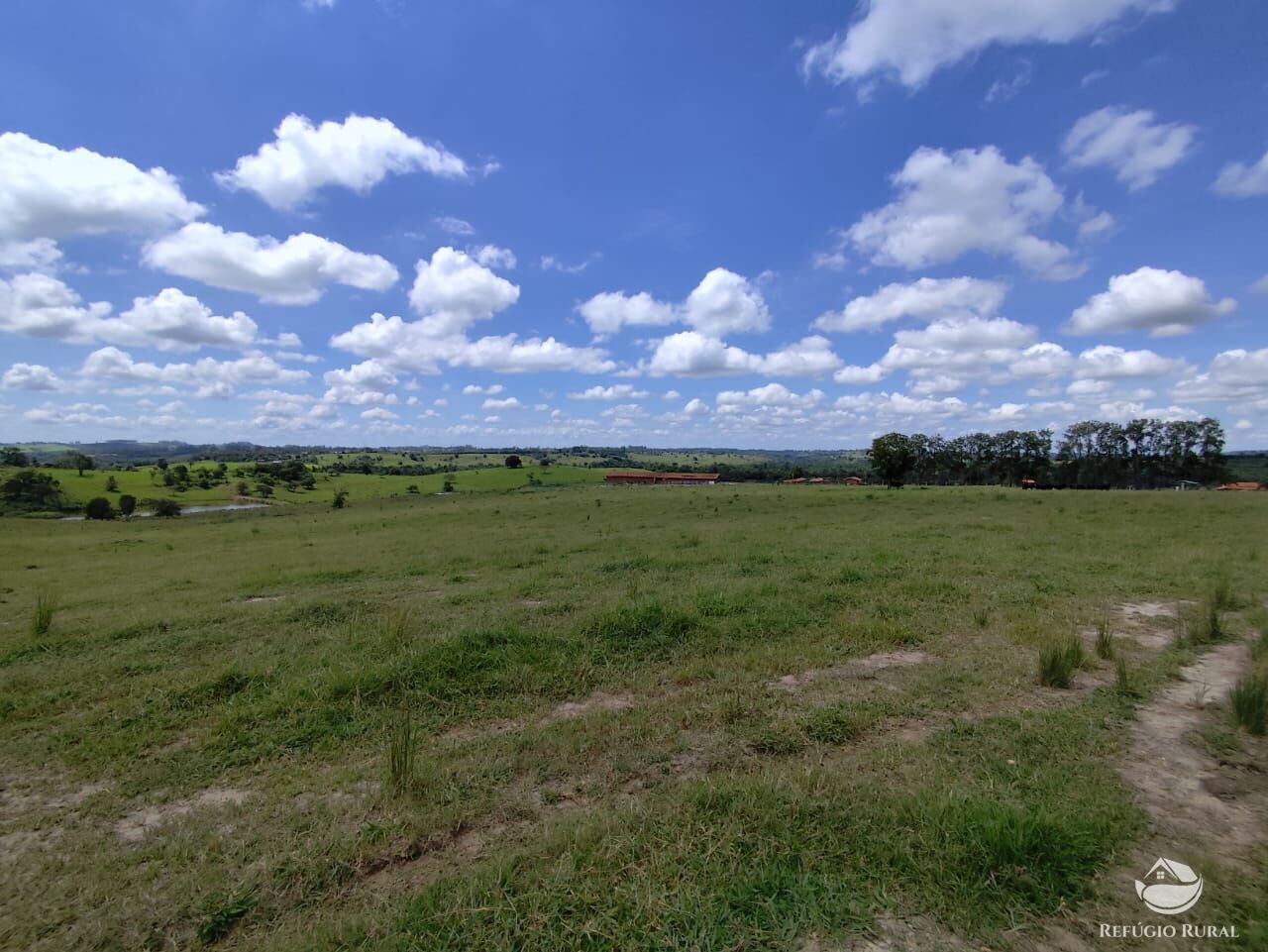 Fazenda, 435 hectares - Foto 9