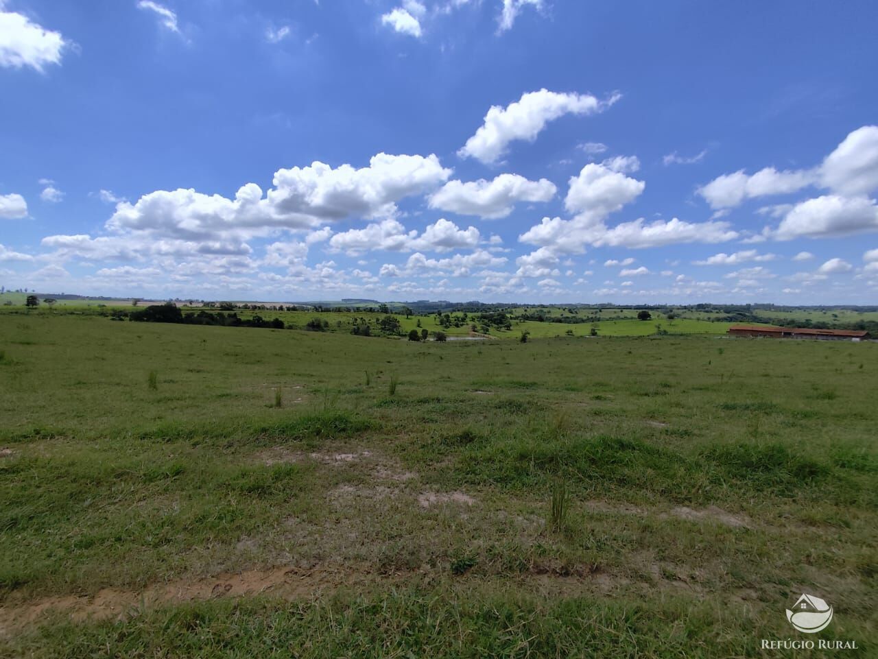 Fazenda, 435 hectares - Foto 22