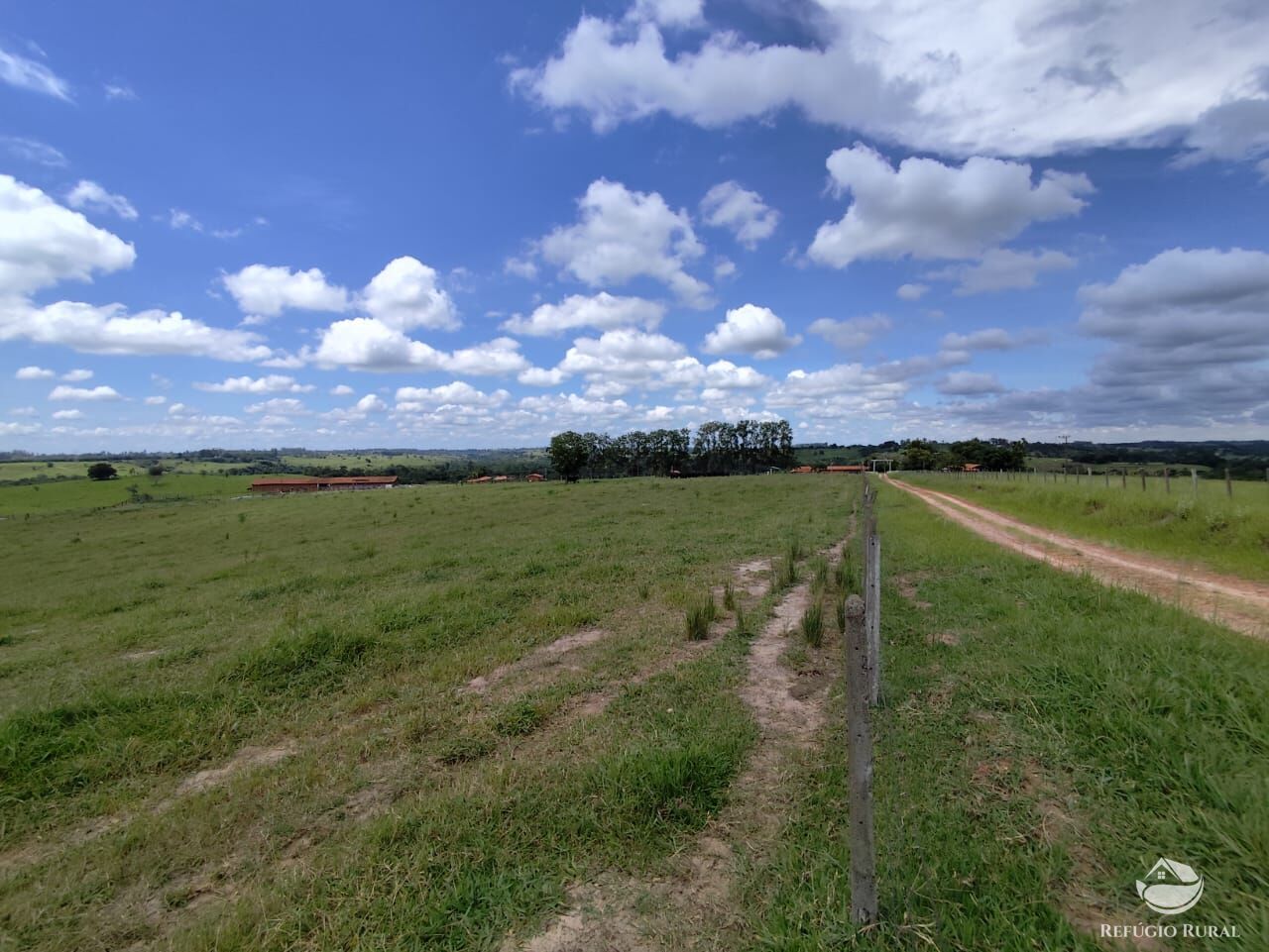 Fazenda, 435 hectares - Foto 12