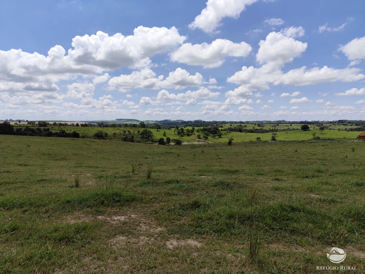 Fazenda, 435 hectares - Foto 11
