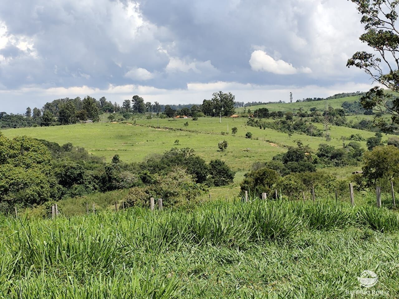 Fazenda, 435 hectares - Foto 41