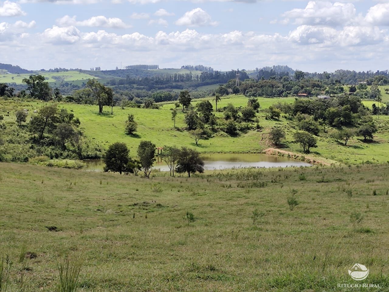 Fazenda, 435 hectares - Foto 7
