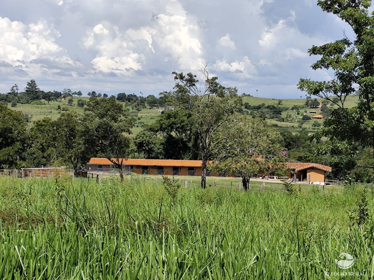 Fazenda, 435 hectares - Foto 25