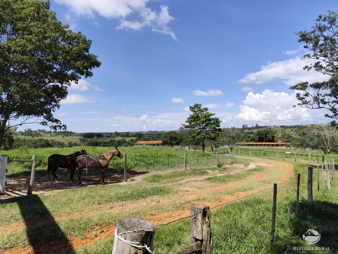 Fazenda, 435 hectares - Foto 49