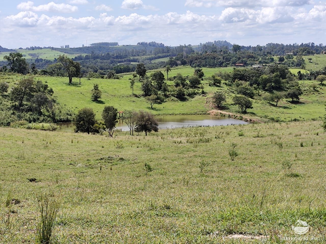 Fazenda, 435 hectares - Foto 31