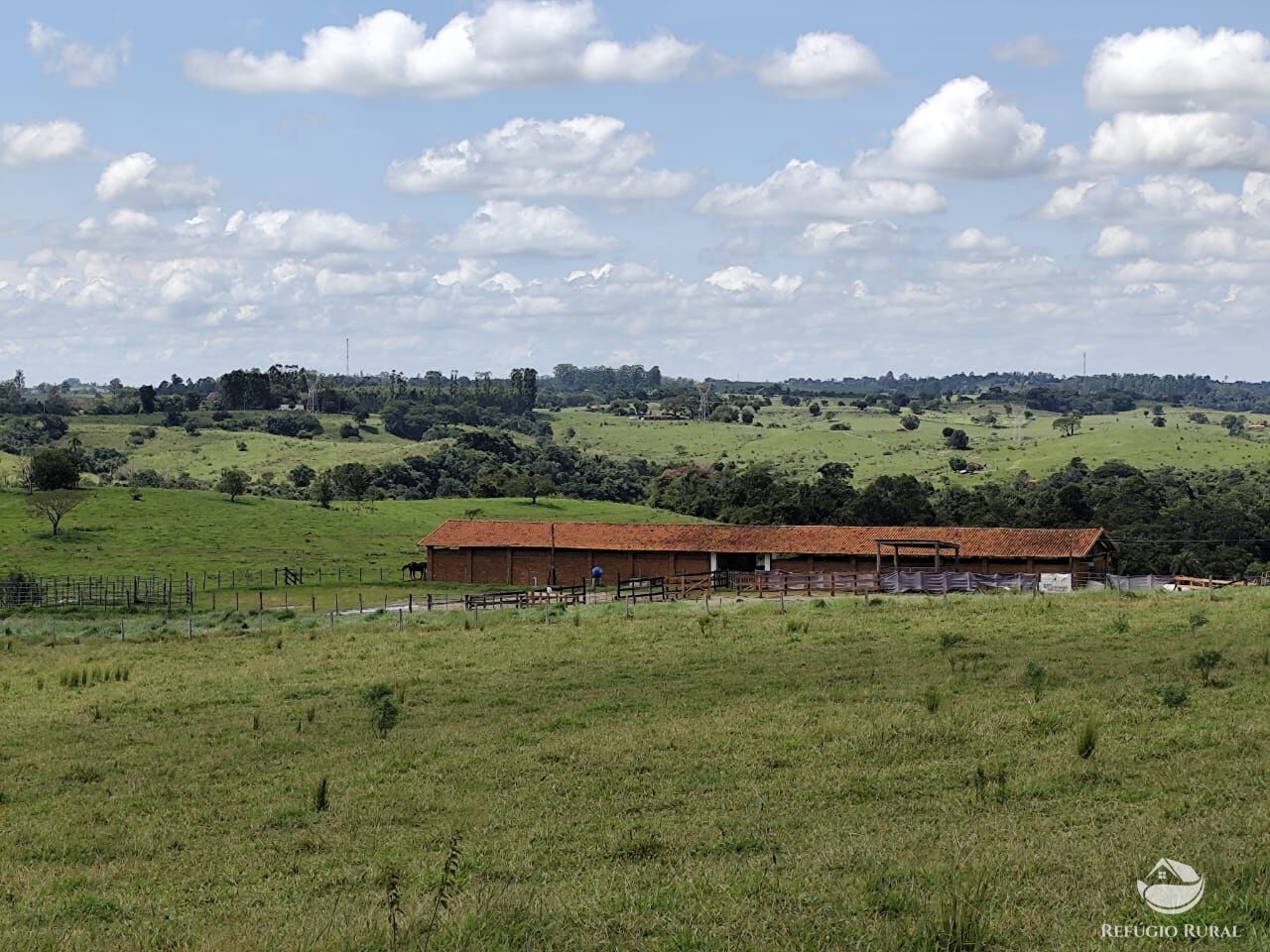 Fazenda, 435 hectares - Foto 37