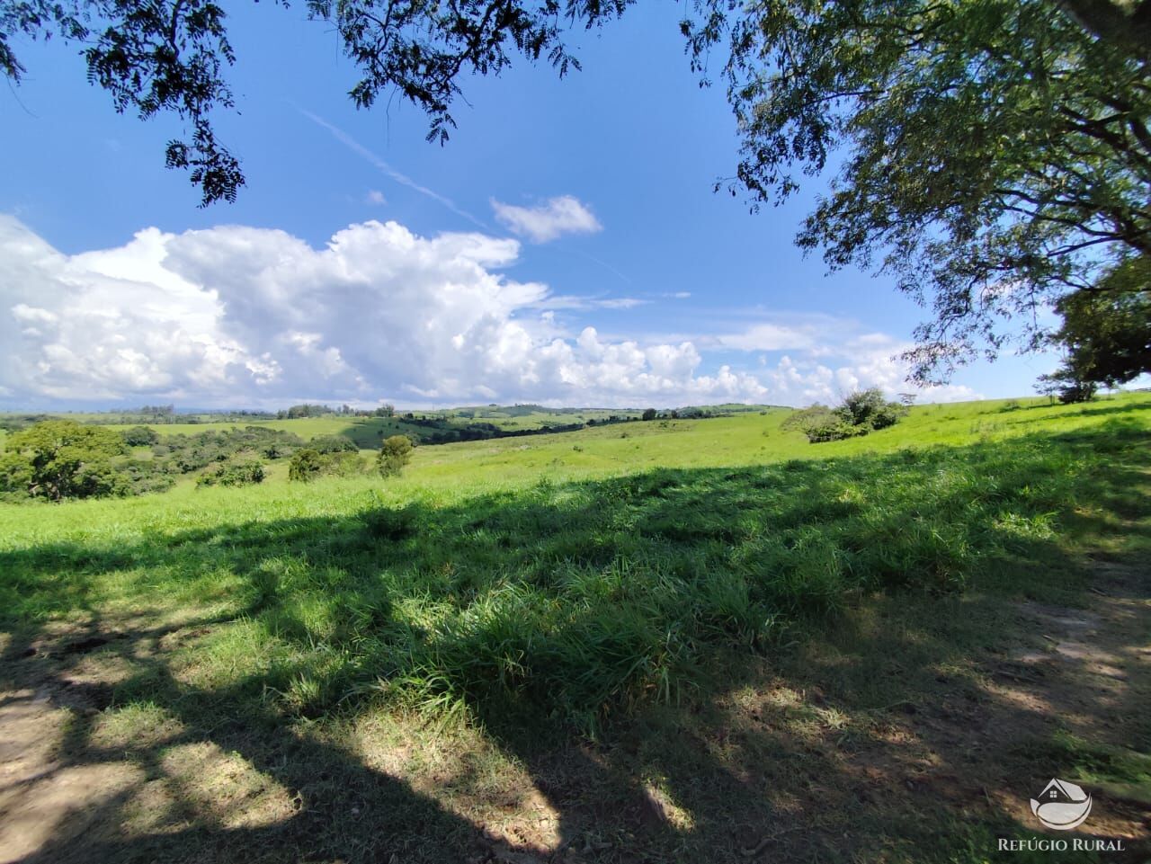 Fazenda, 435 hectares - Foto 44