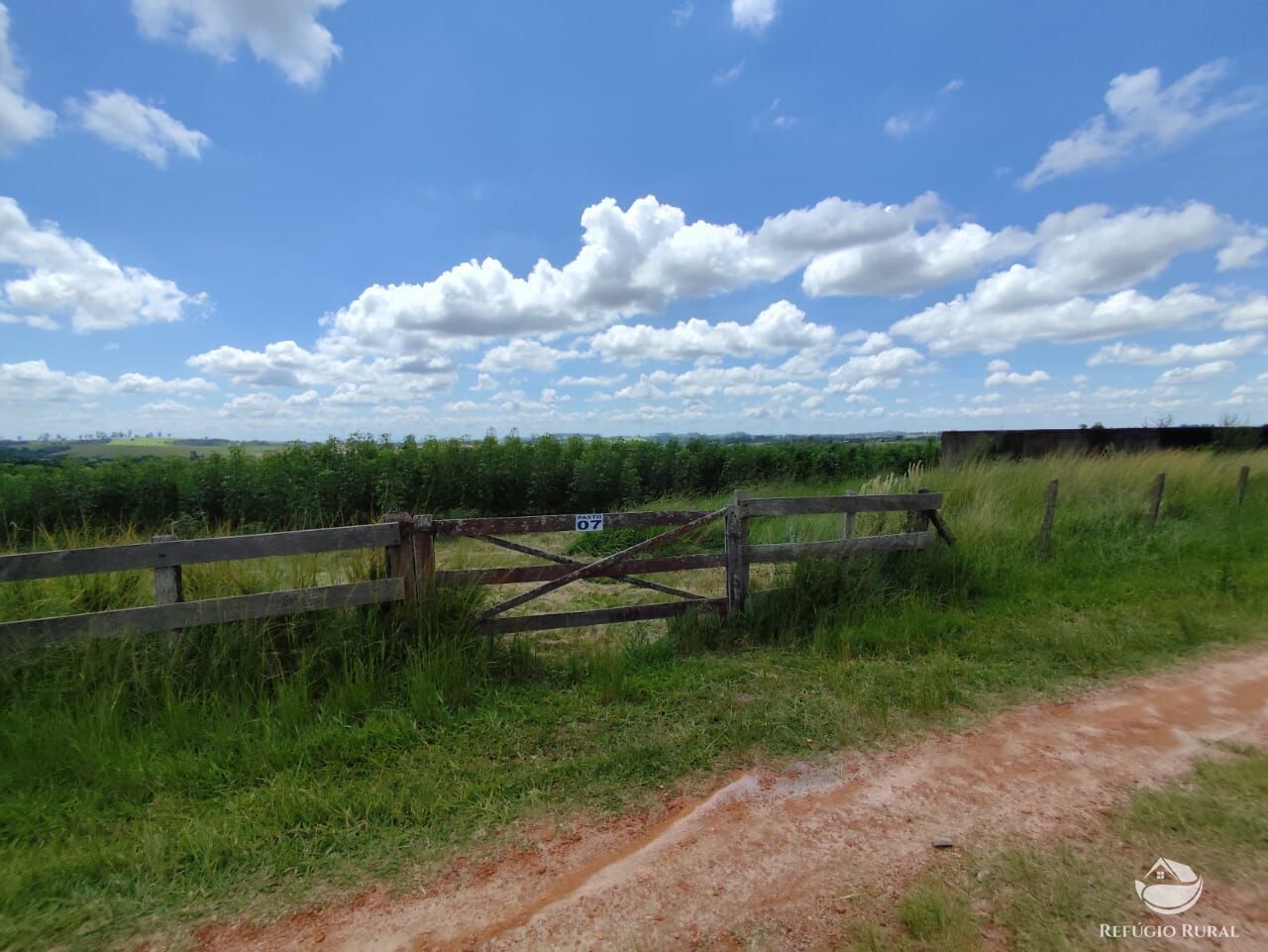 Fazenda, 435 hectares - Foto 20